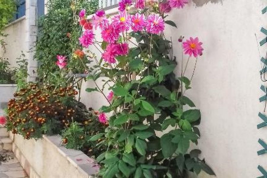 Apartmani Kastelani – Apartman Izabela