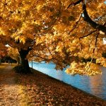 Romantična jesen na Jadranu: Skriveni biseri za parove