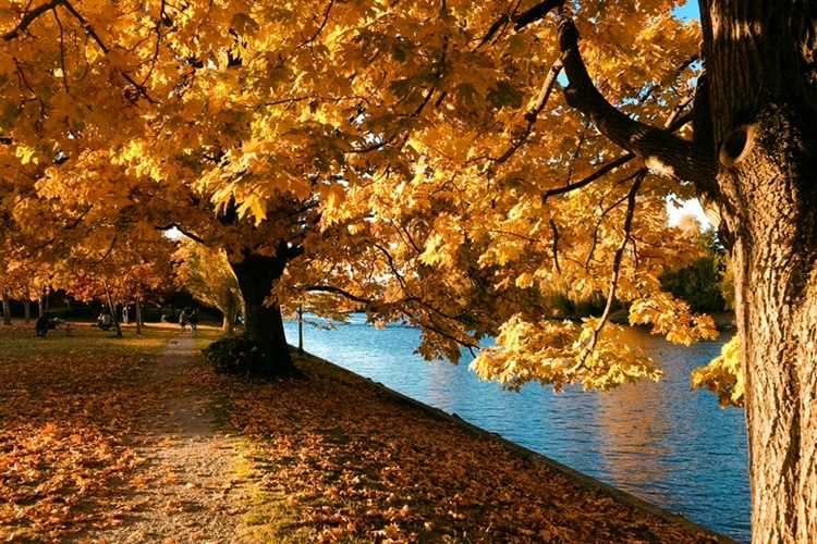 Romantična jesen na Jadranu: Skriveni biseri za parove